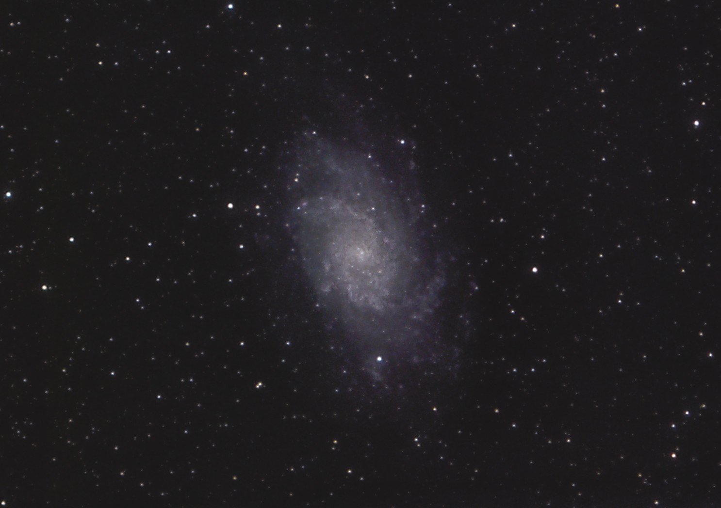 M33-135mm-311024c.jpg
