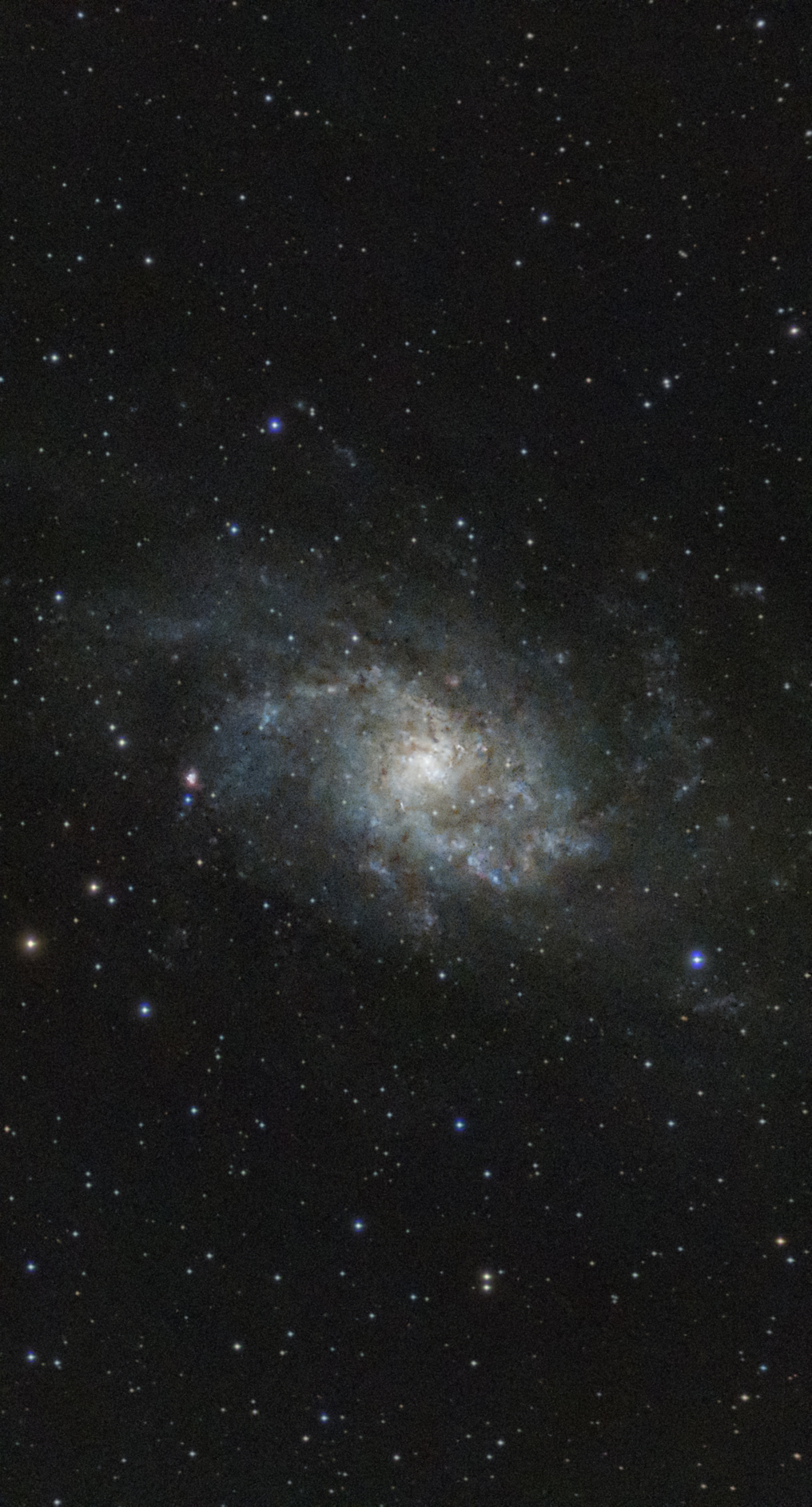 M33 146x10s UVIR Seestar S50 141023 Hambühren.jpg