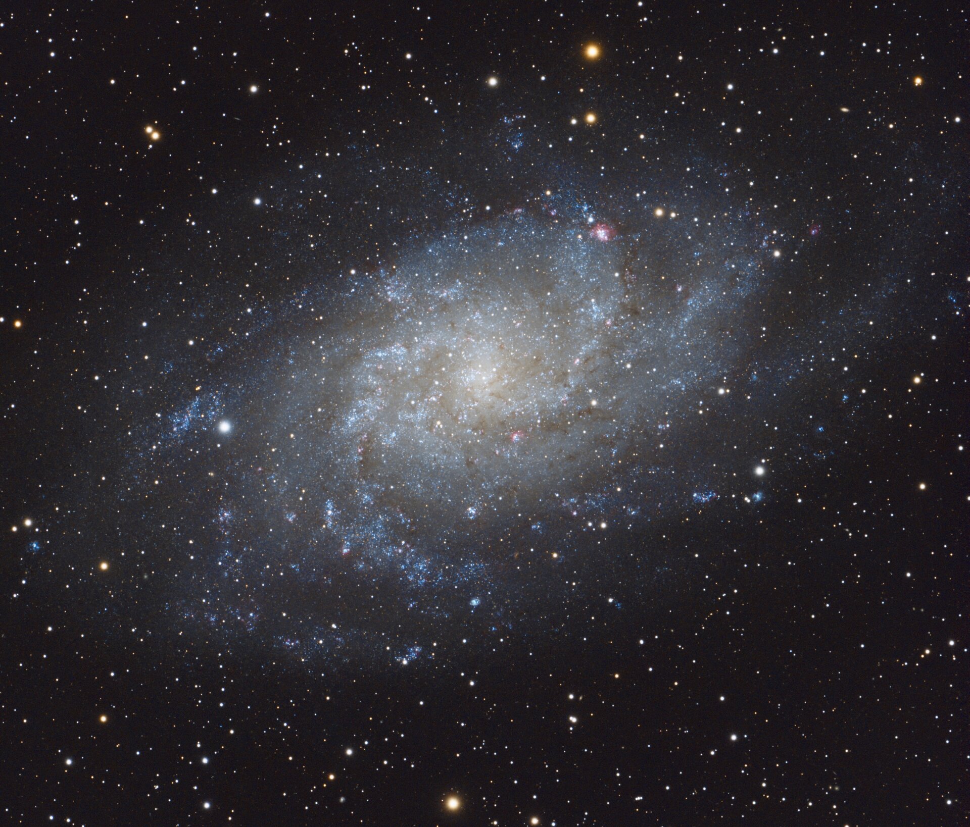 M33 - Dreiecksgalaxie - 08.09.2026.jpeg