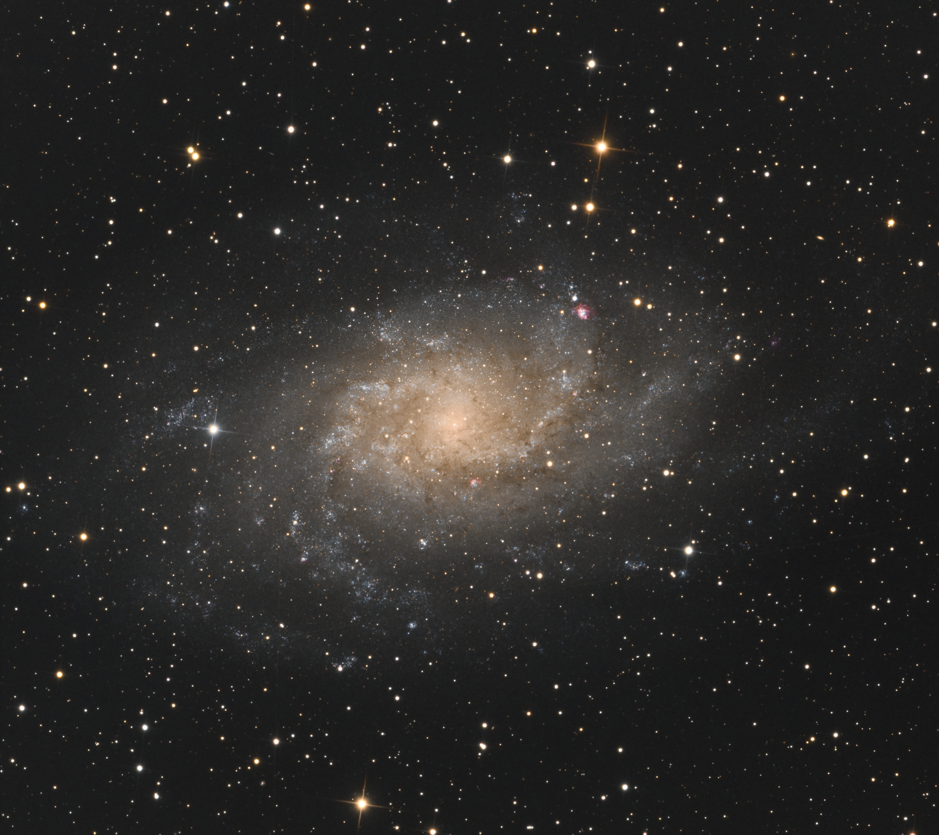 M33 DSS_crop_cali_dbs_dgreen_denoise_Histo_Saett_Crop_BlurX.png