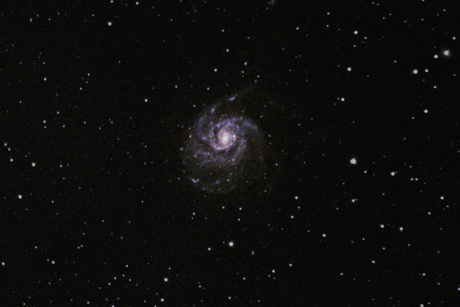 M33_600mm_SA_cut.jpg