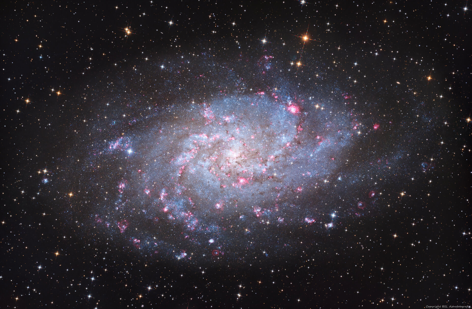 M33_Triangulum_20251123_Compress.jpg