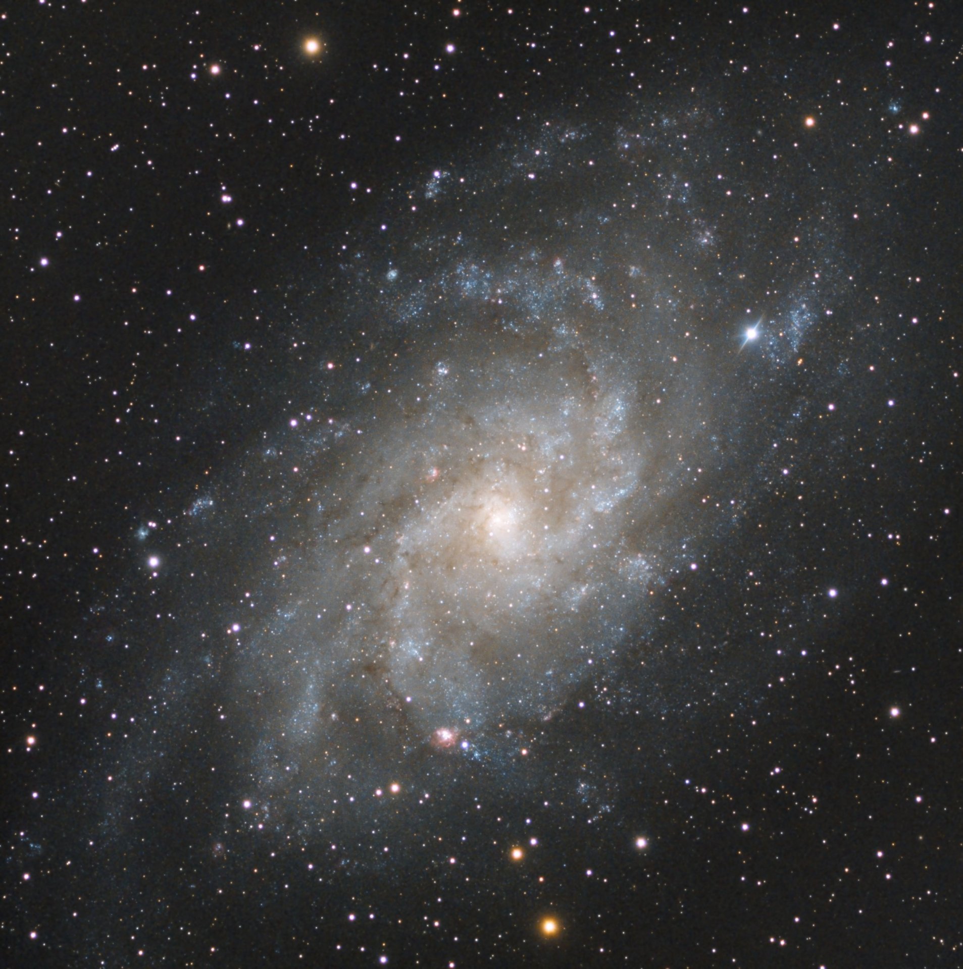 M33rgbProcessed.jpg