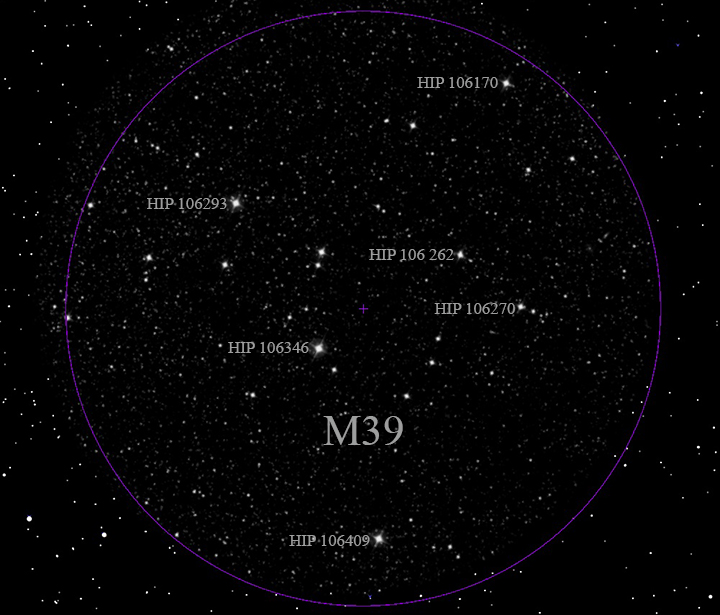 M39_.jpg