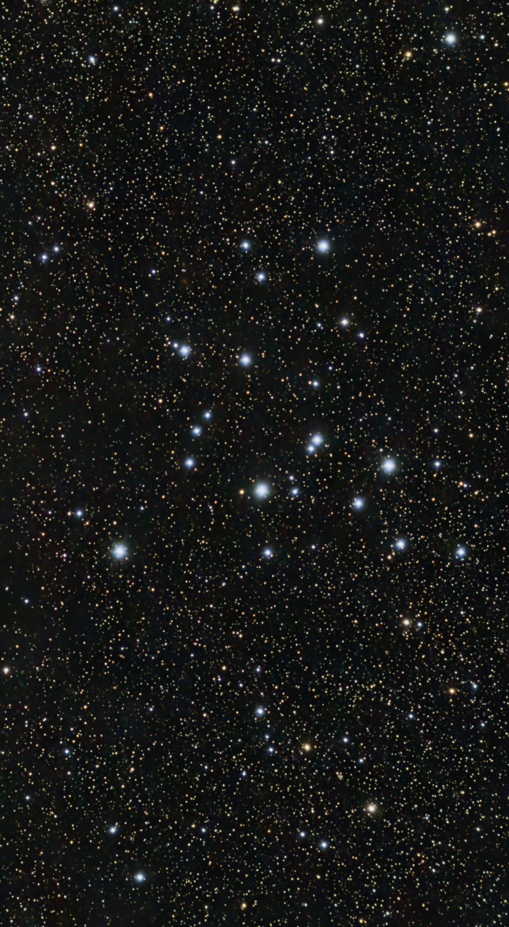 M39_final_small.jpg