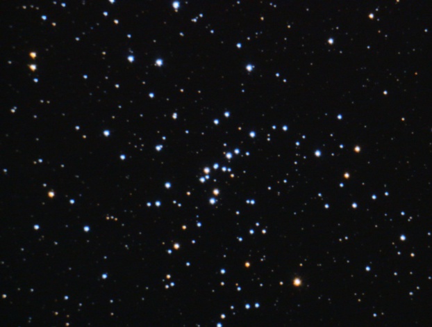 M48.jpg