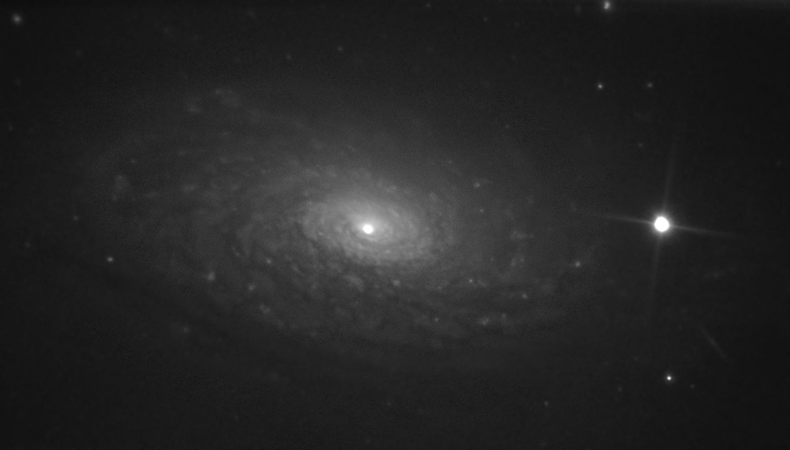 m63-110623c.jpg