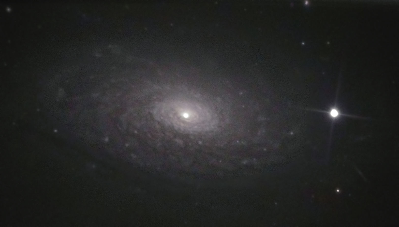 m63-110623farbec.jpg
