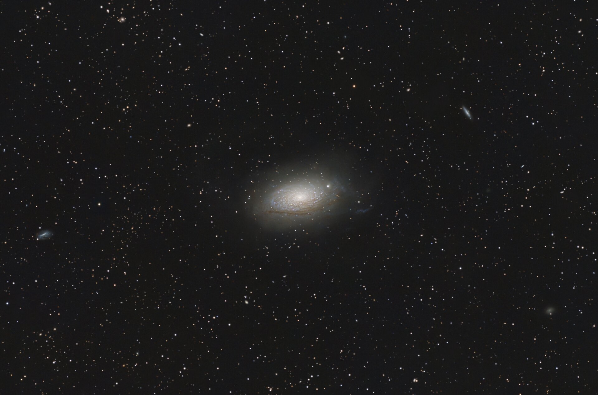 M63 - Sonneblumengalaxie - 22.04.2026.jpeg