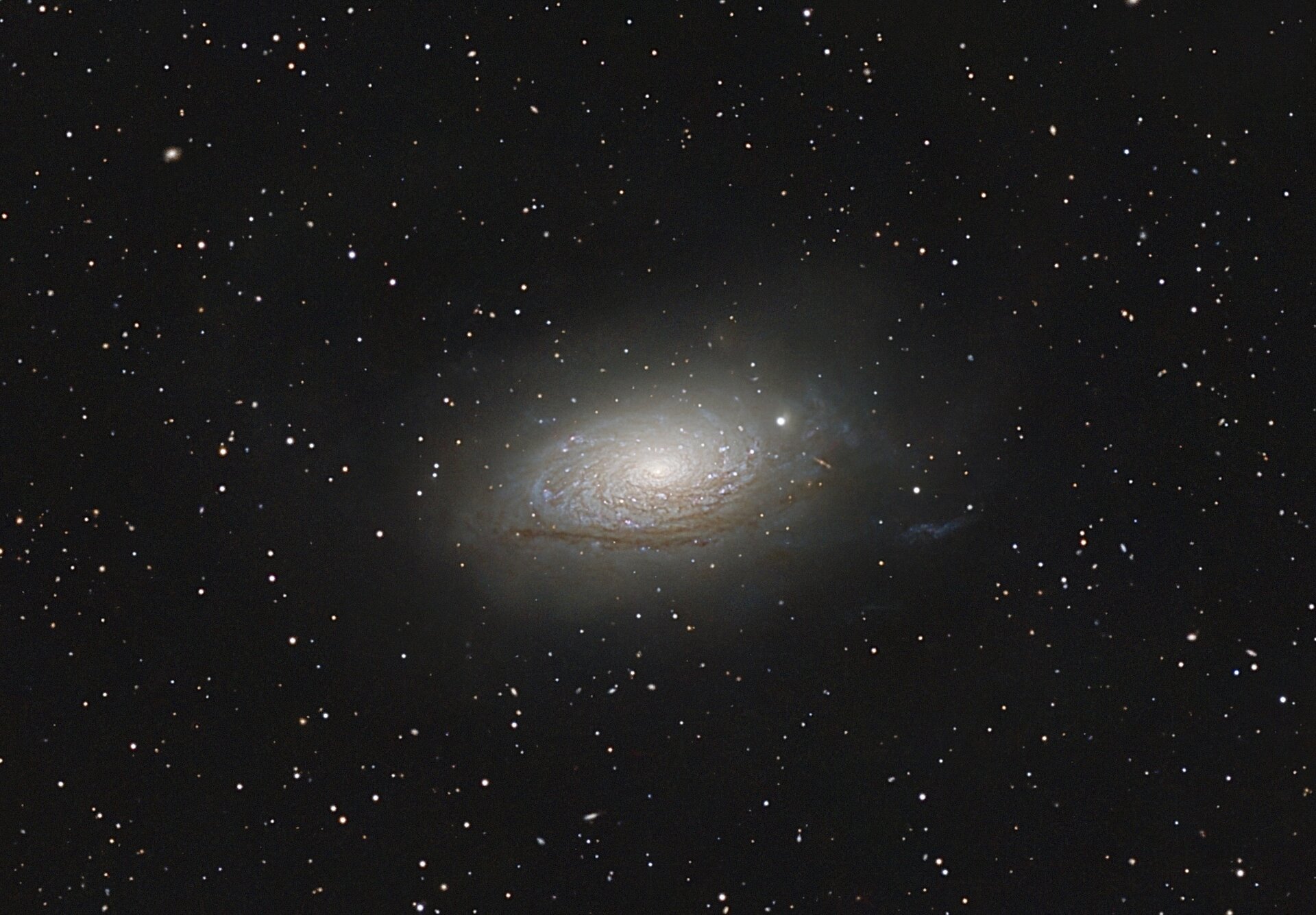 M63 - Sonneblumengalaxie - 22.04.2026.jpeg