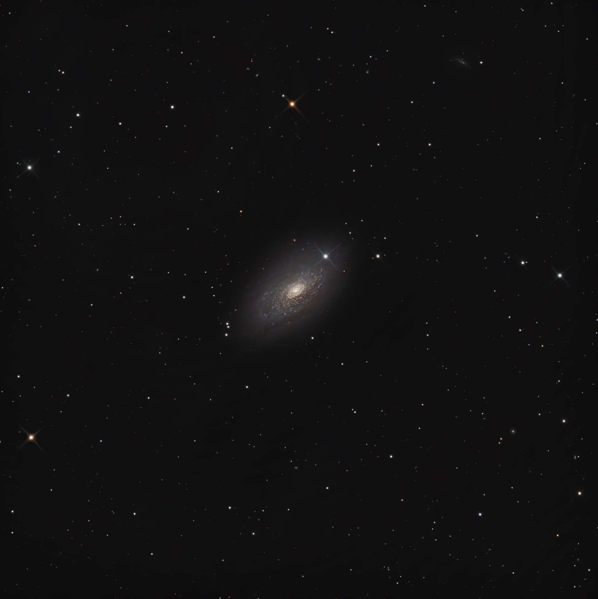 M63_MSG_Nexus.png