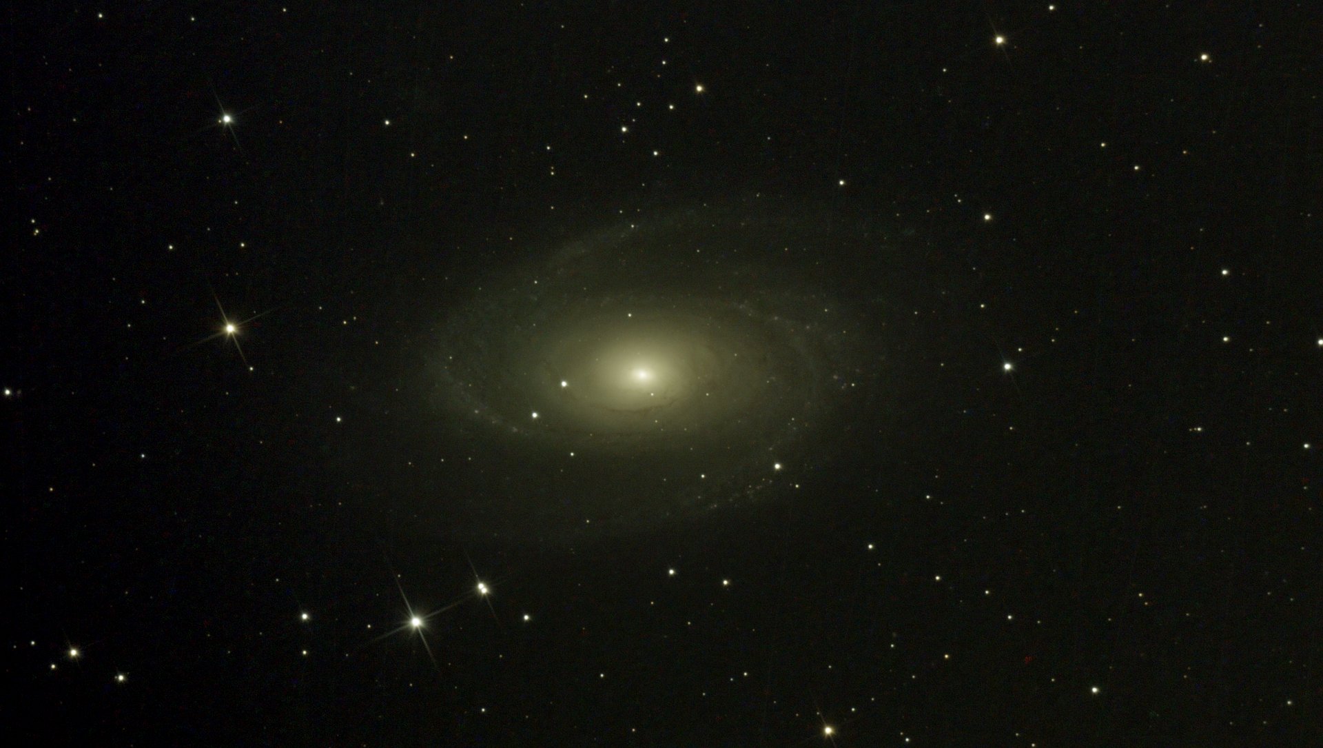 M81-2900sec.jpeg