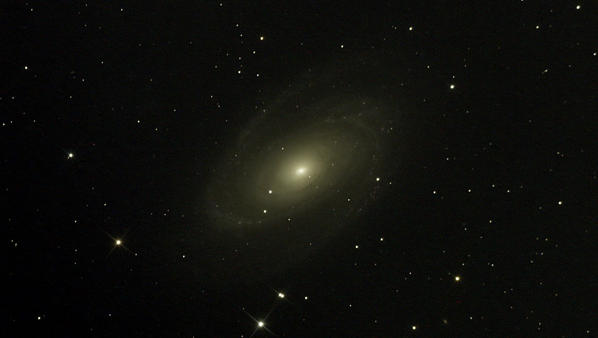 M81.jpeg