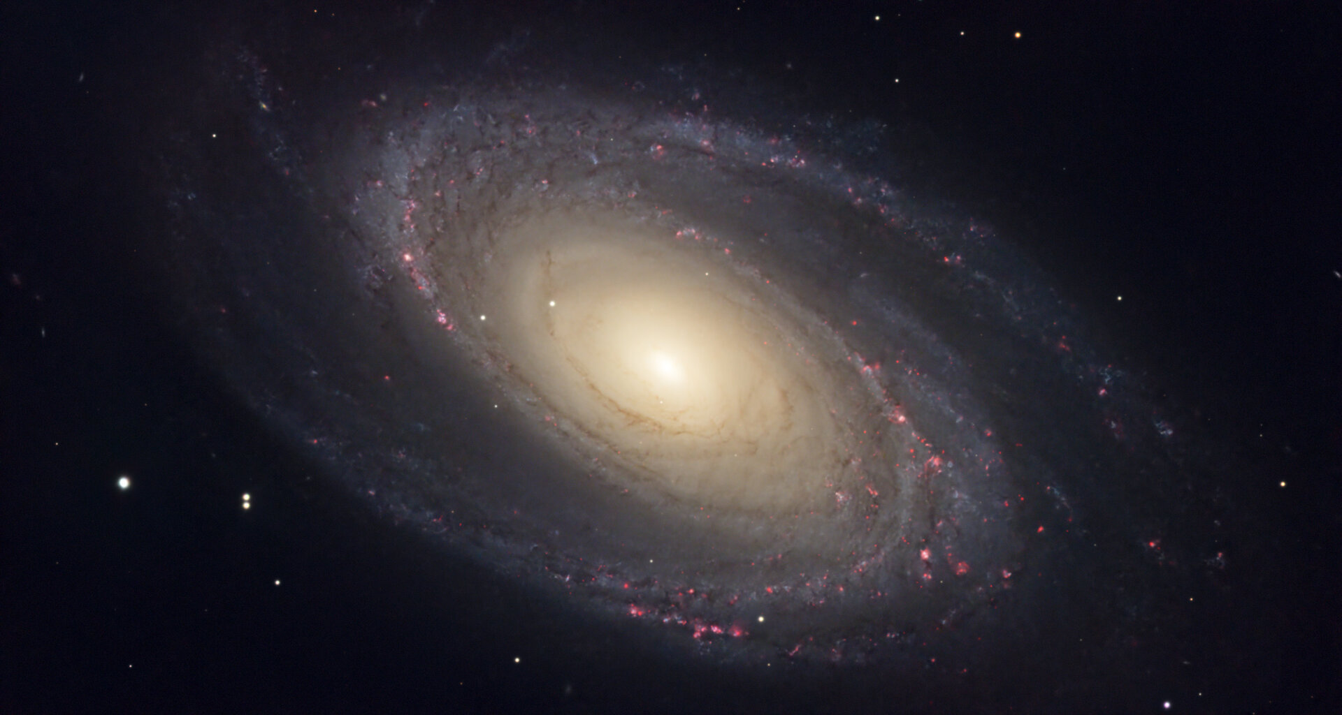 M81.jpg