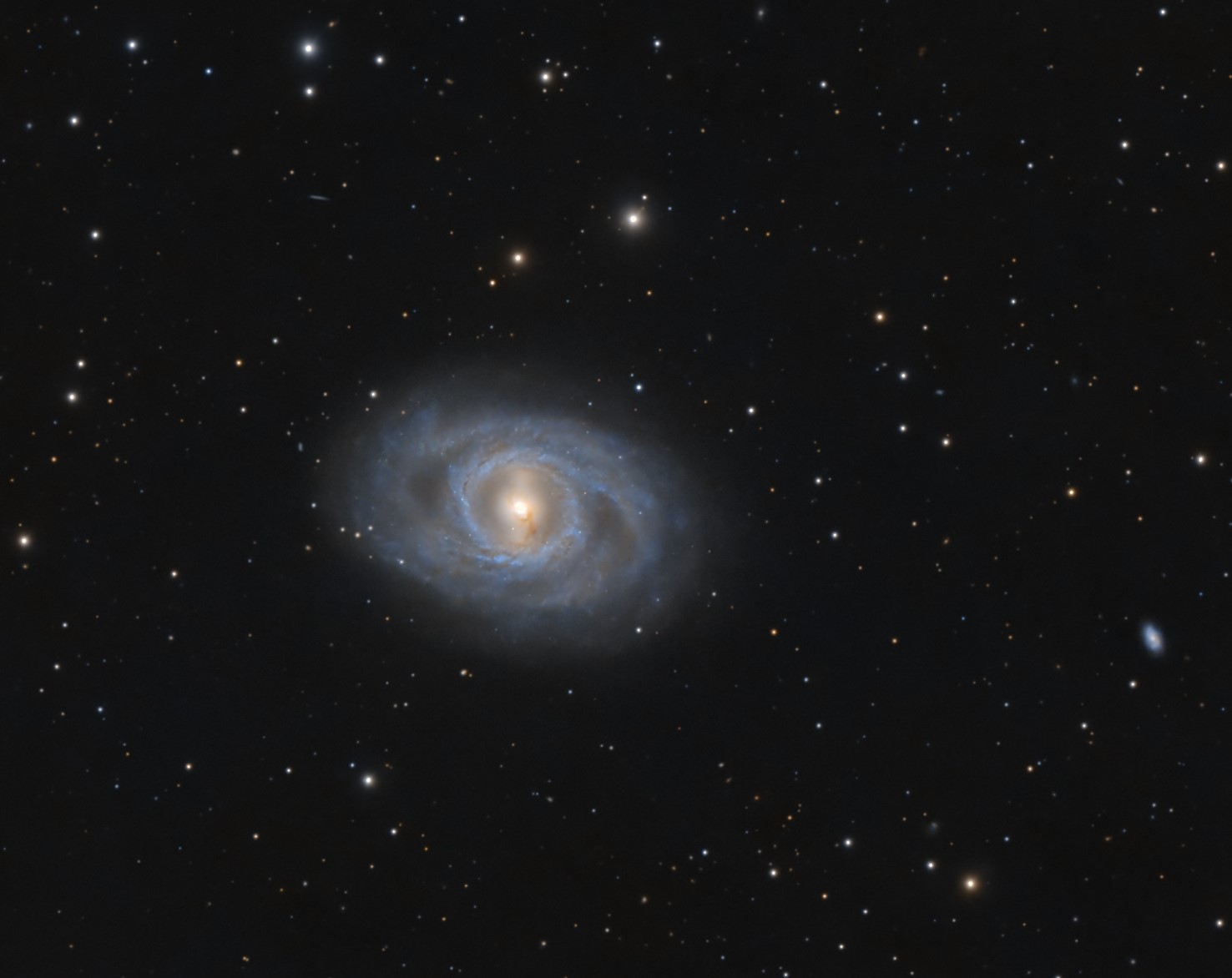 M95-Detail.jpg