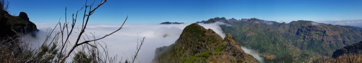madeira5_thumb.jpg