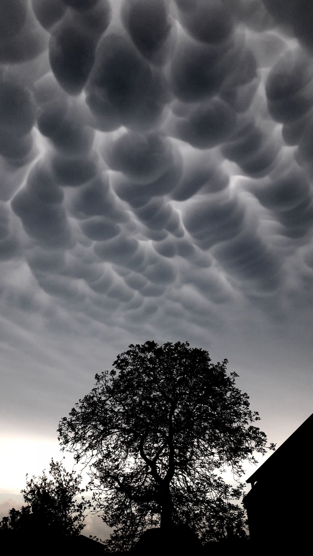 Mammatus80.jpg