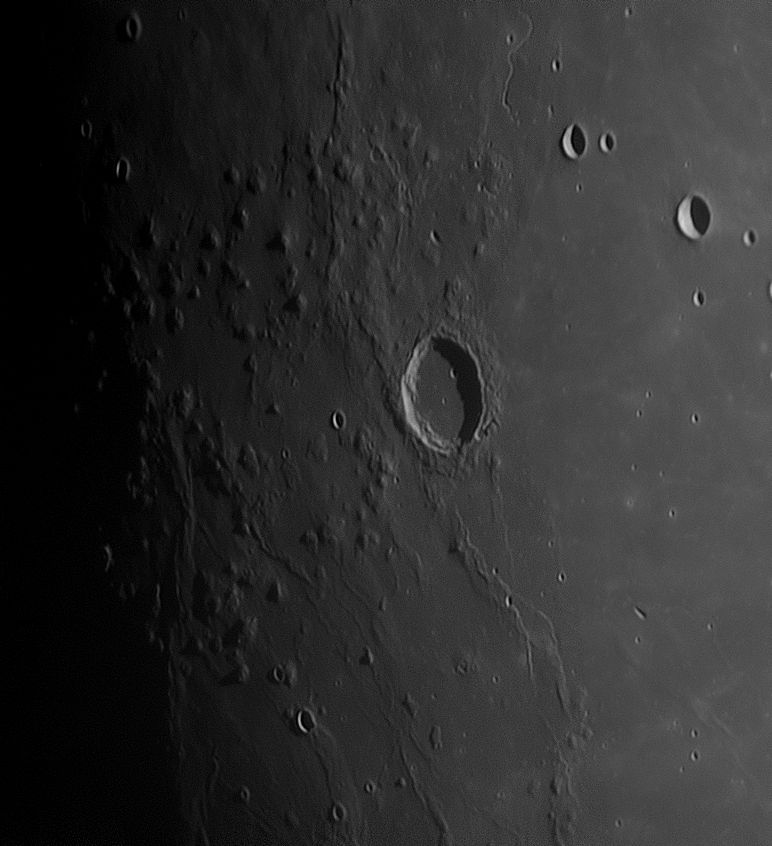 marius_250121_182554c.jpg