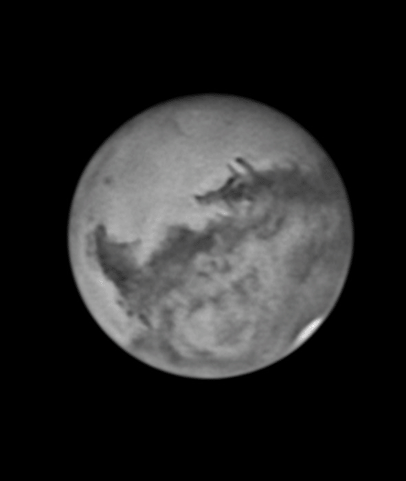 Mars Wildschwein.gif