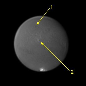 Mars20200912BUT0105text.jpg