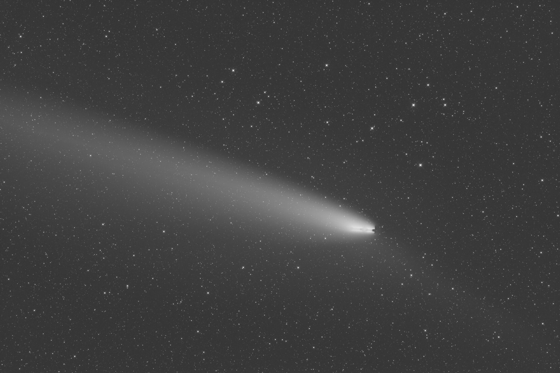 masterLight_BIN-1_6224x4168_EXPOSURE-20.00s_FILTER-Lum_mono_autocrop.jpg