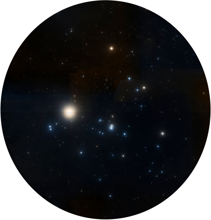 mel25 (Mittel).png