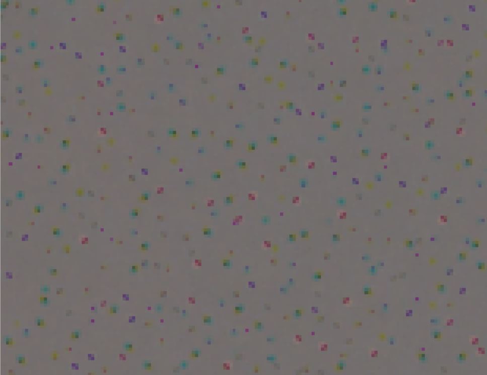MF_2021-02-12_500%.JPG