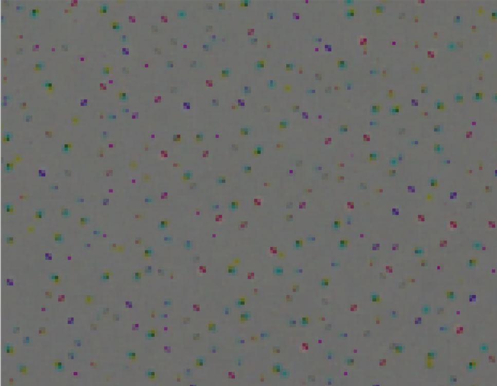 MF_2021-03-20_500%.JPG