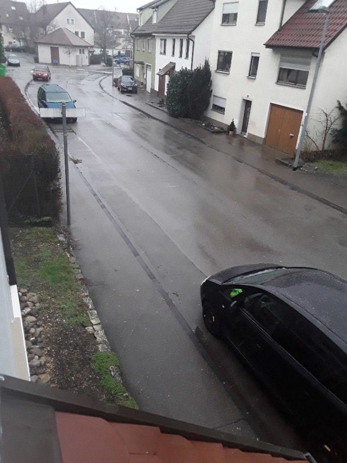 Mistwetter.jpg