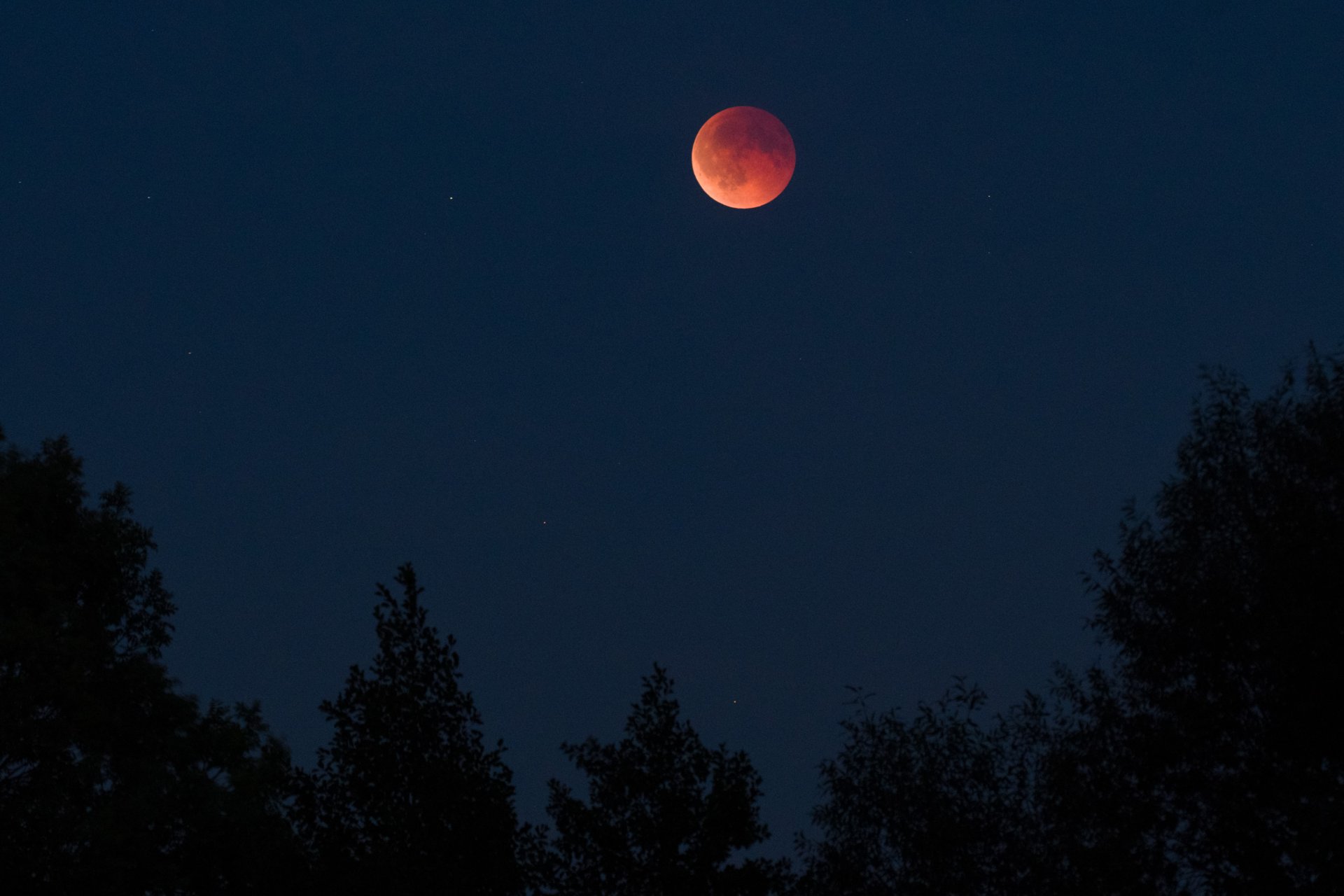 MoFi_07-09-2025.jpg
