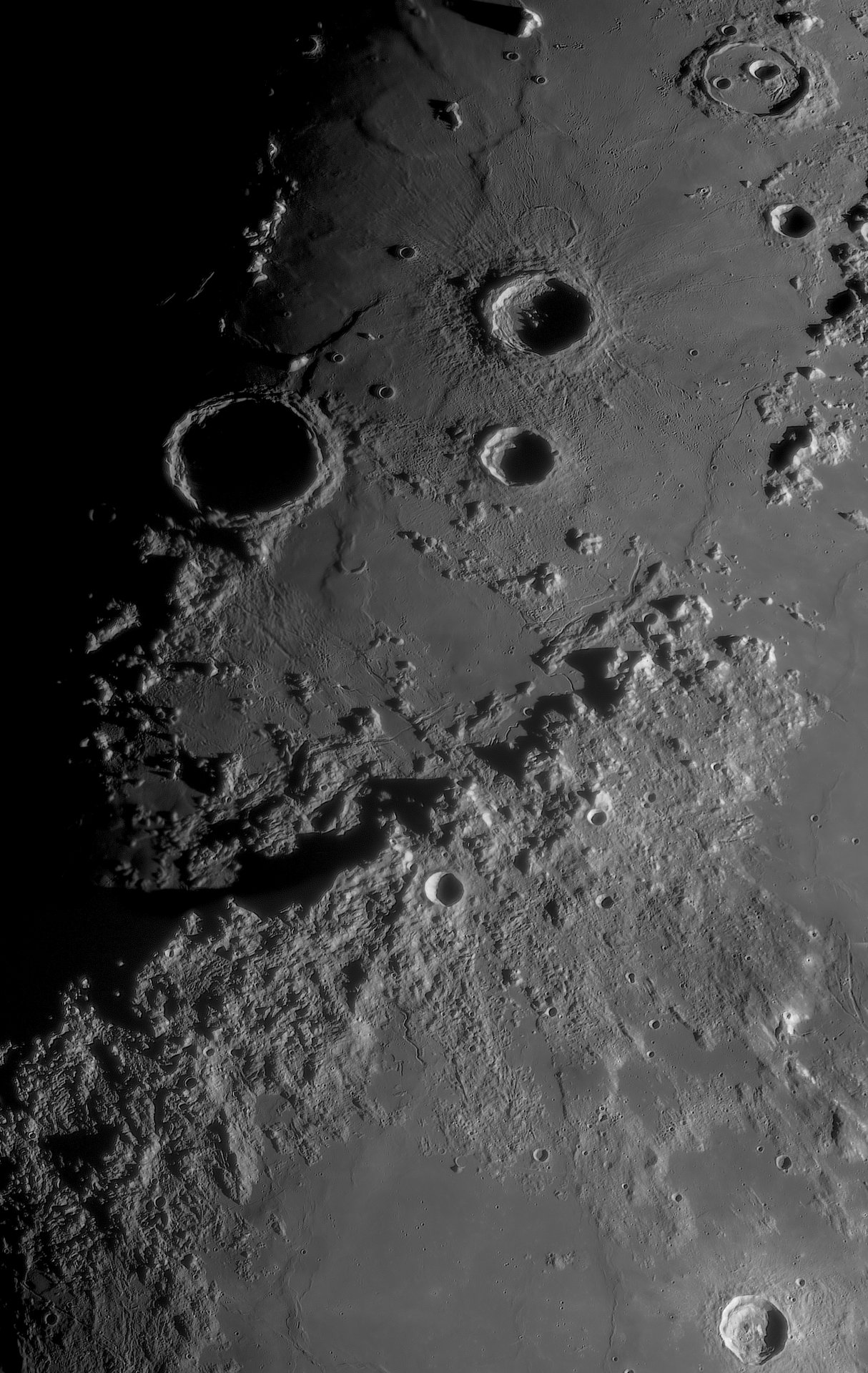 Mond 17.02.2024-Rima Hadley.jpg
