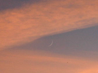 mond-2021-06-12_2.jpg
