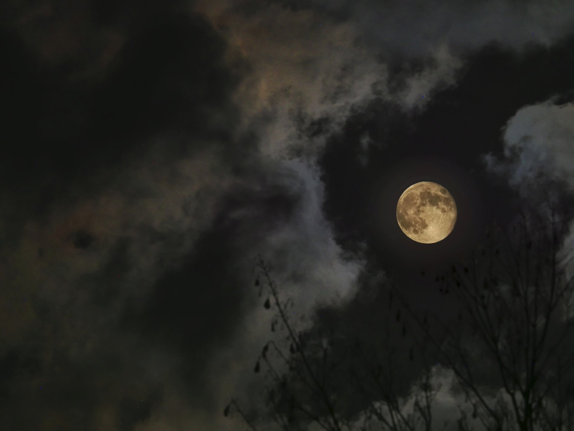 Mond Board.jpg