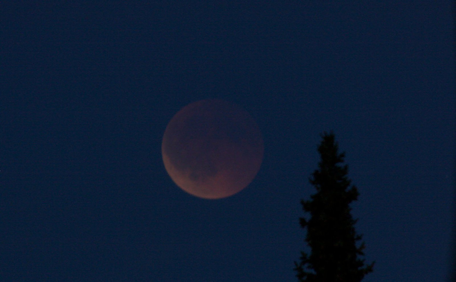 Mond-finsternis_8607-1600c.JPG