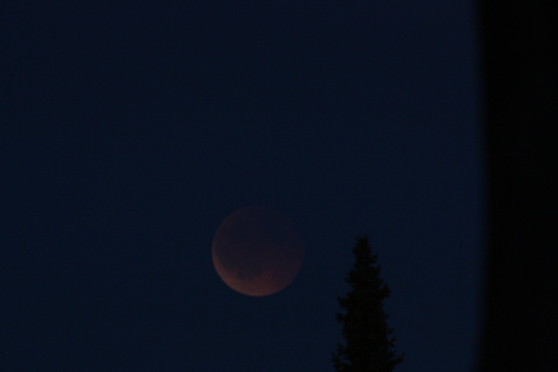 Mond-finsternis_8607-org.JPG