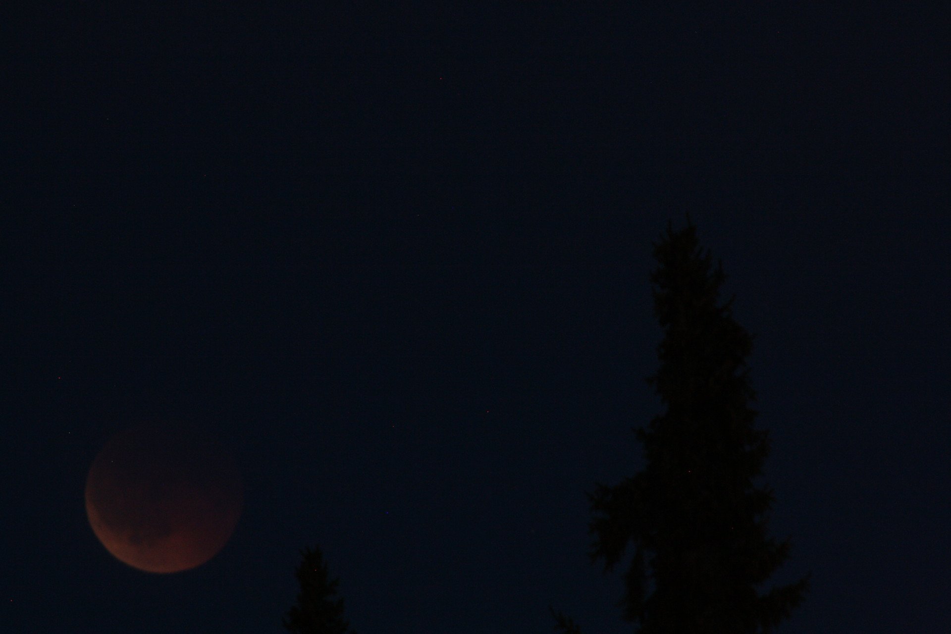 Mond-finsternis_8613org.JPG