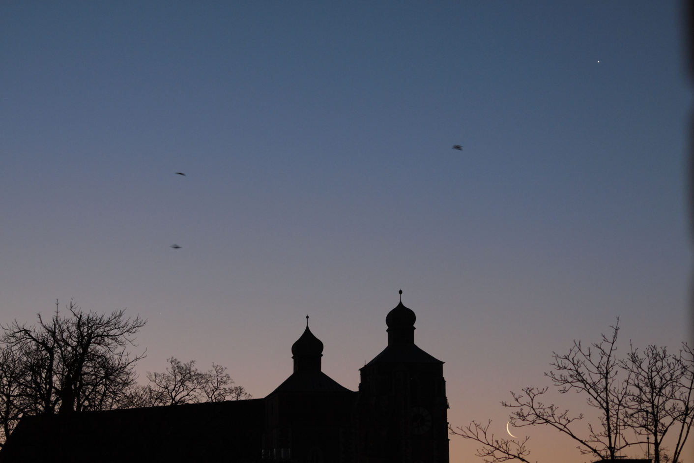 Mond Venus Merkur Vögel.png