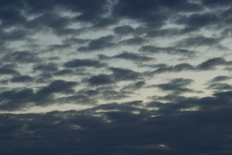 mond070724.jpg