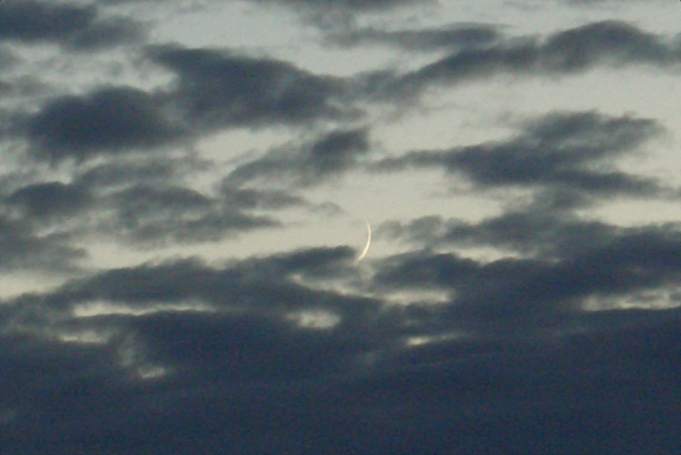 mond070724_2.jpg