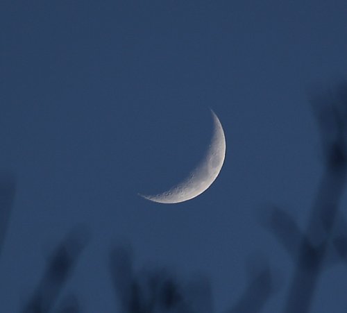 mond_detail.jpg