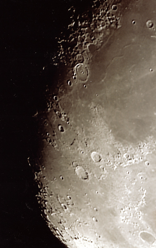 mond_specht.jpg