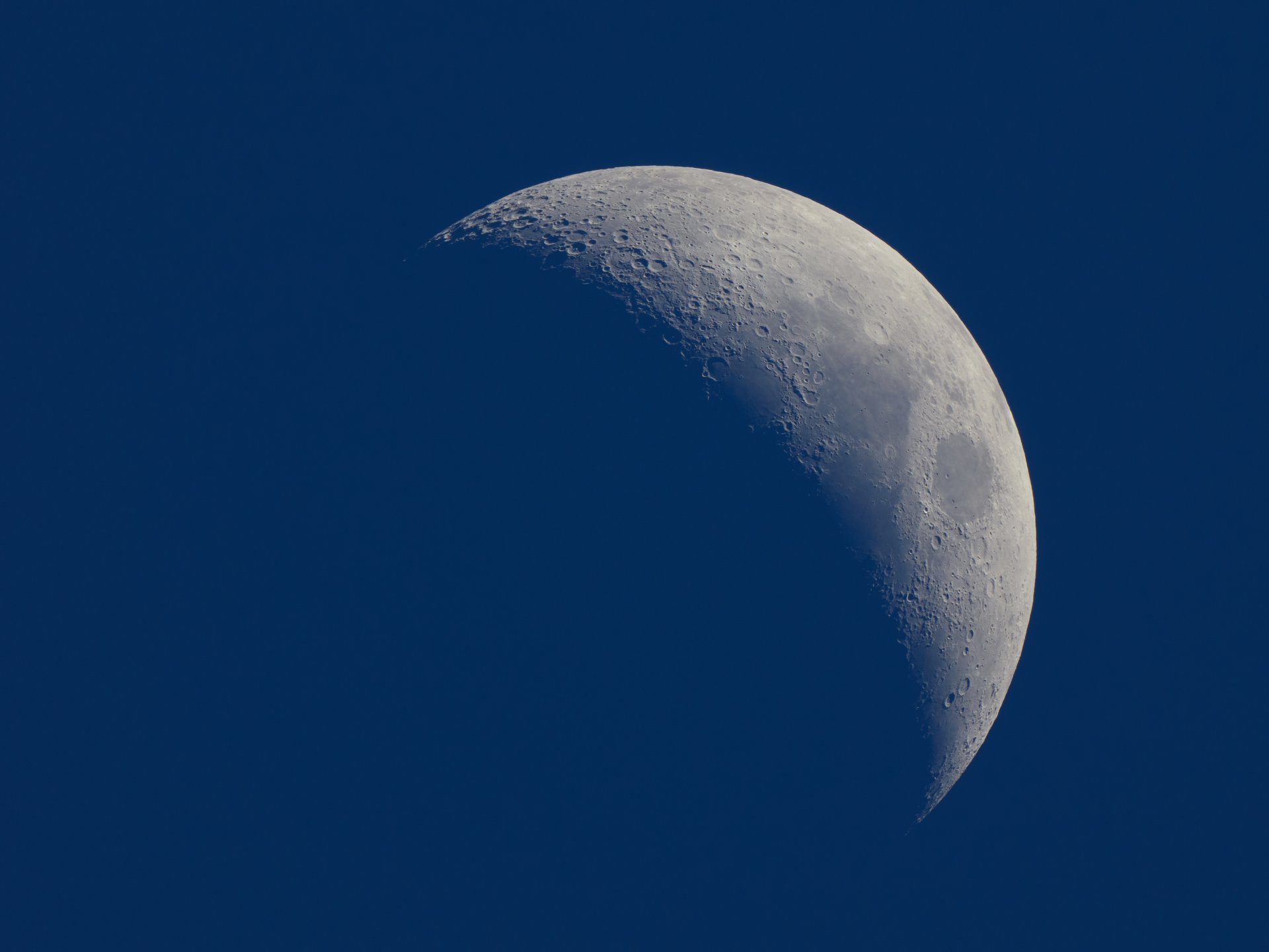 Mond_TS101SDP 1.jpg
