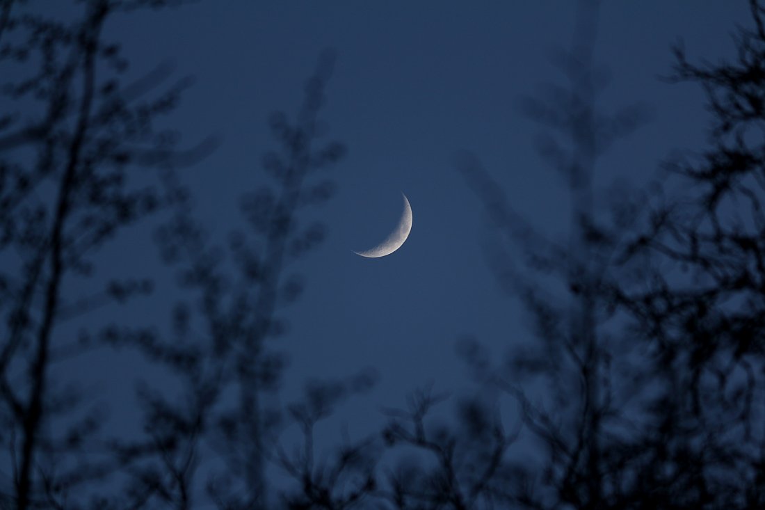 mondsichel_250202.jpg
