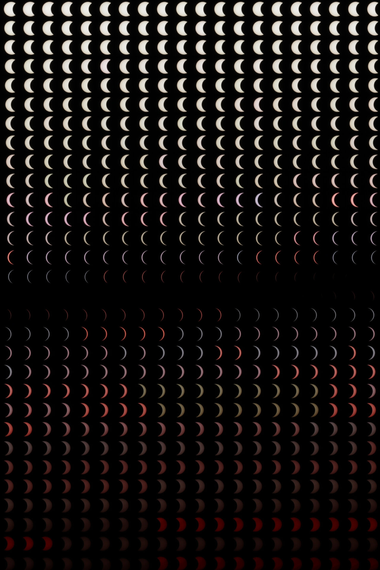 montage_20x30_edited.jpg