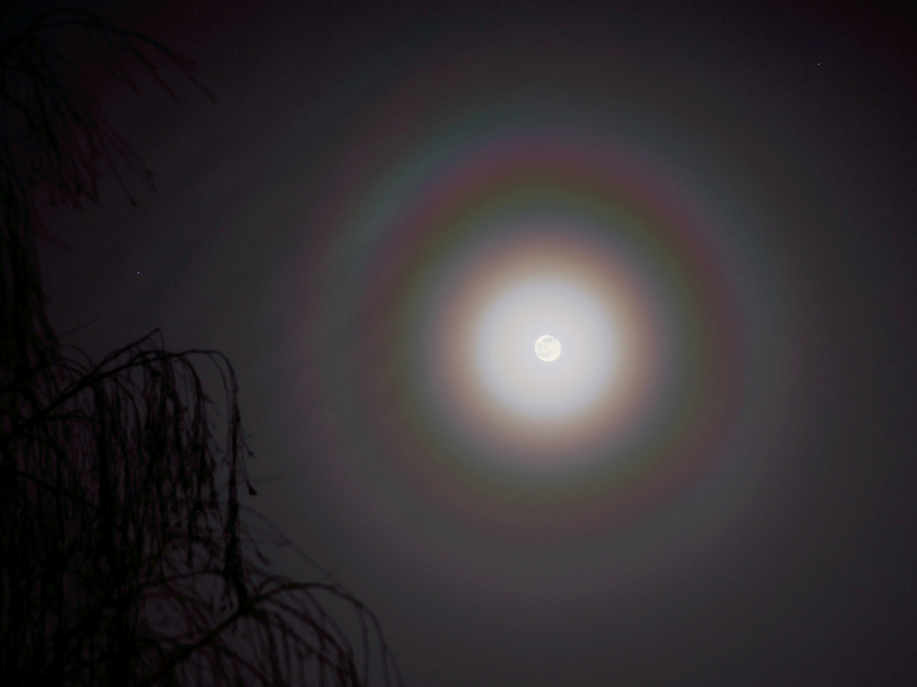 Moon-2021-12-20--21-30.JPG