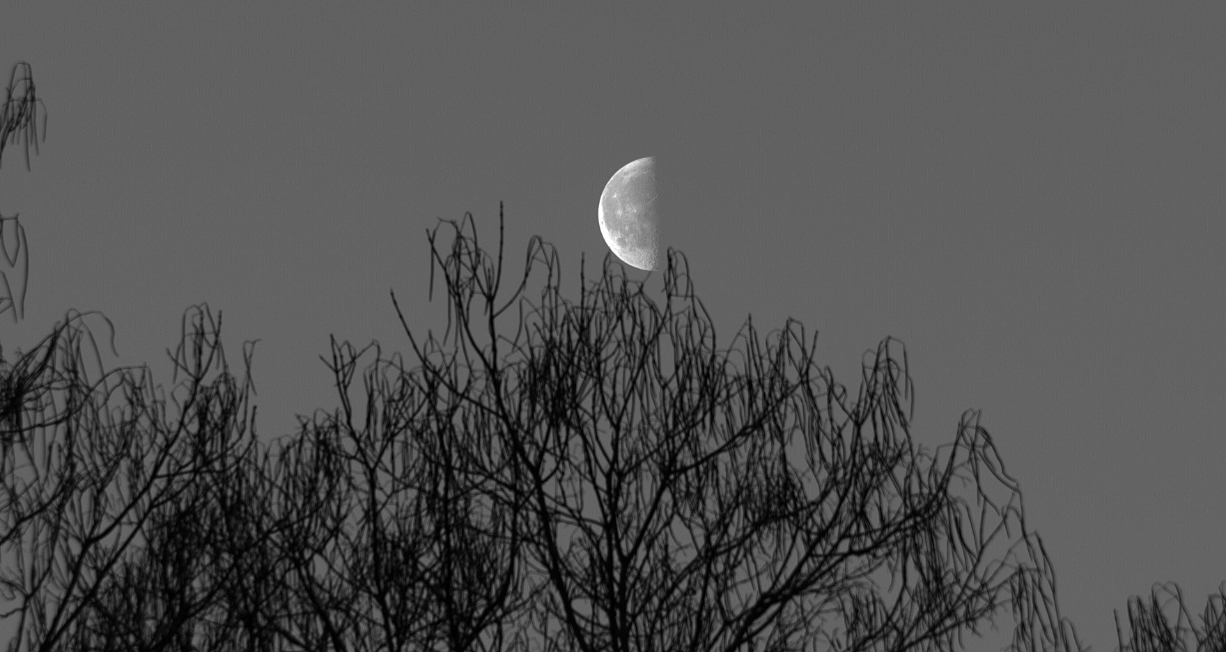 Moon_090226_075902_G-55mm.jpg