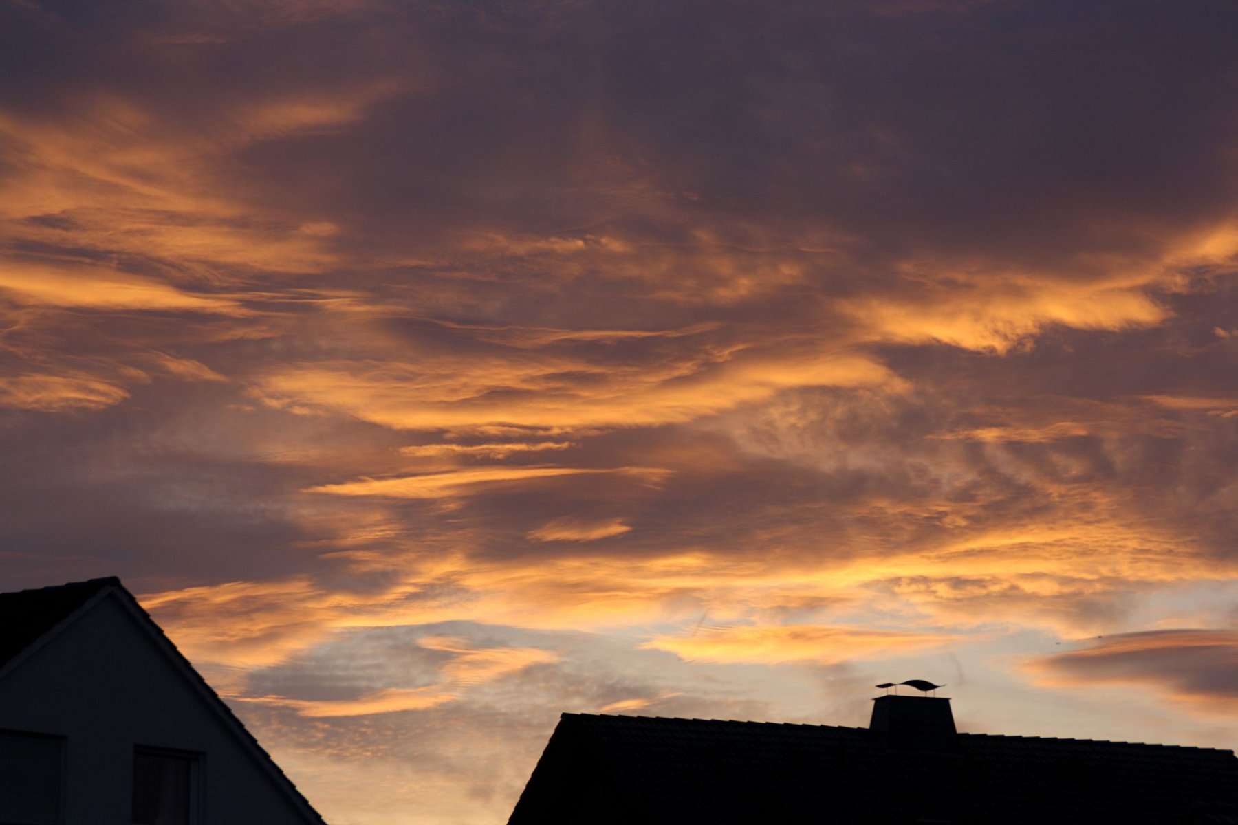 morgenrot-201020.jpg