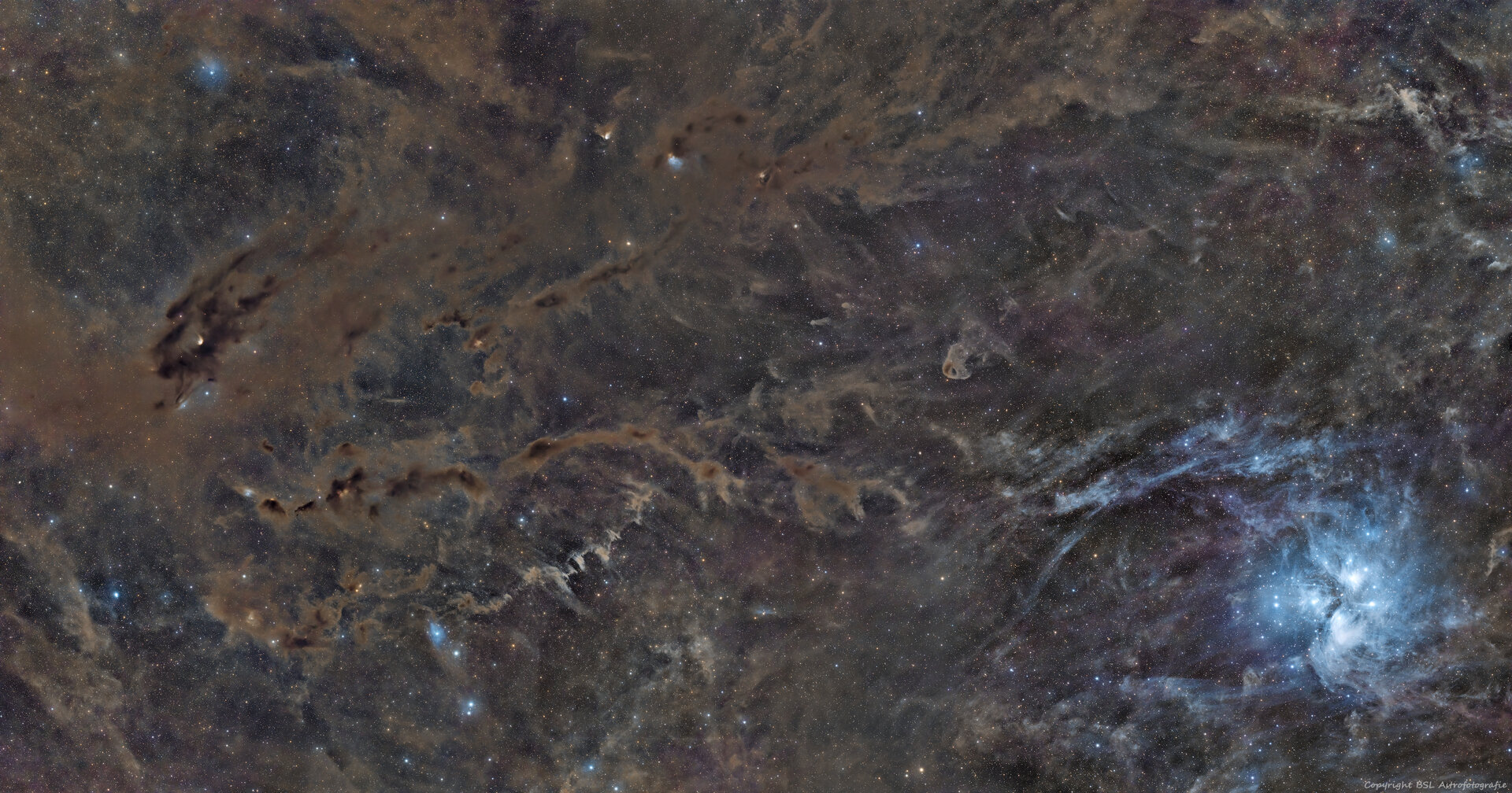 MosaikimStier_20260208_Compress.jpg