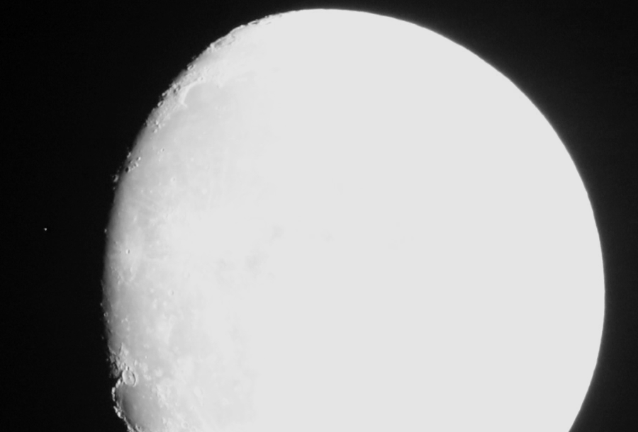 MVI_4852_f300_quality_93.47%-G159-.gif