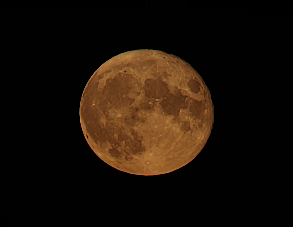 MVI_7033_pipp_lapl5_ap2260.jpg